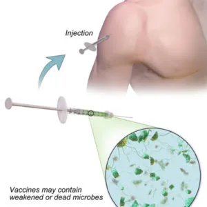 Vaccine