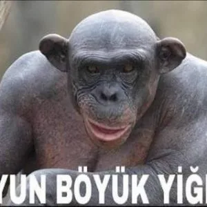 turklerin-almanya-yalanlari