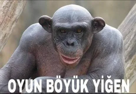 turklerin-almanya-yalanlari